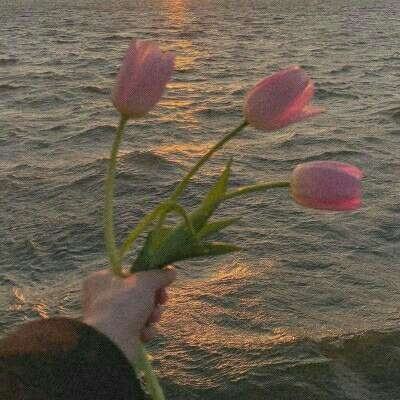 B体育手机版在线下载手机版